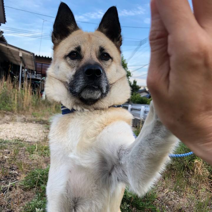 6c2e092f b978 4841 b1ce 9f631c163ca9 1559216515434