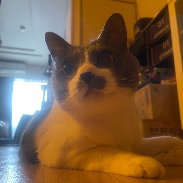 6c2e164a d274 4c2b b690 9e472bbf0e20 1745011246863