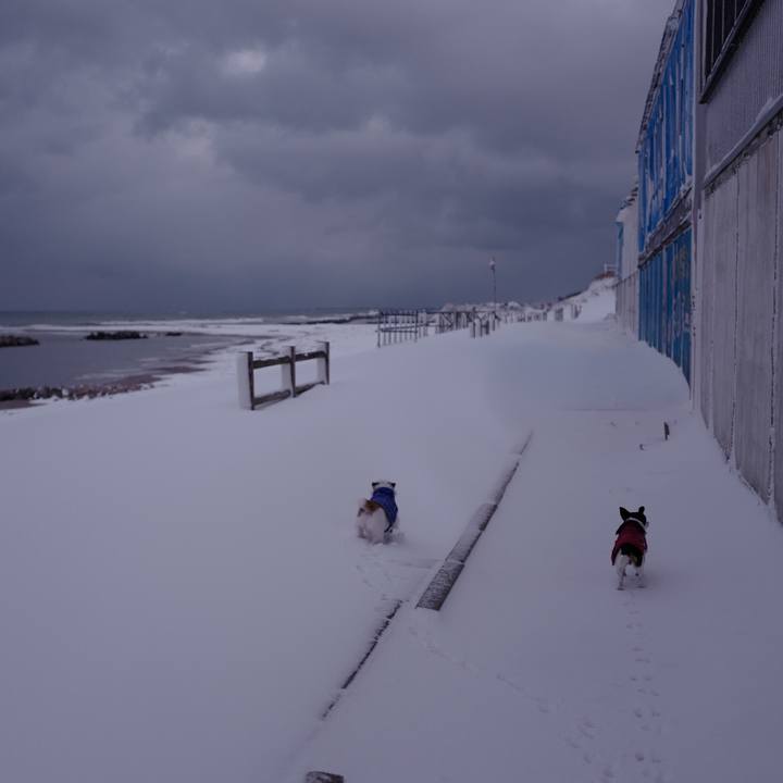 6c2e762d 5da6 4e80 8ac3 b9b61c348706 1518487392934