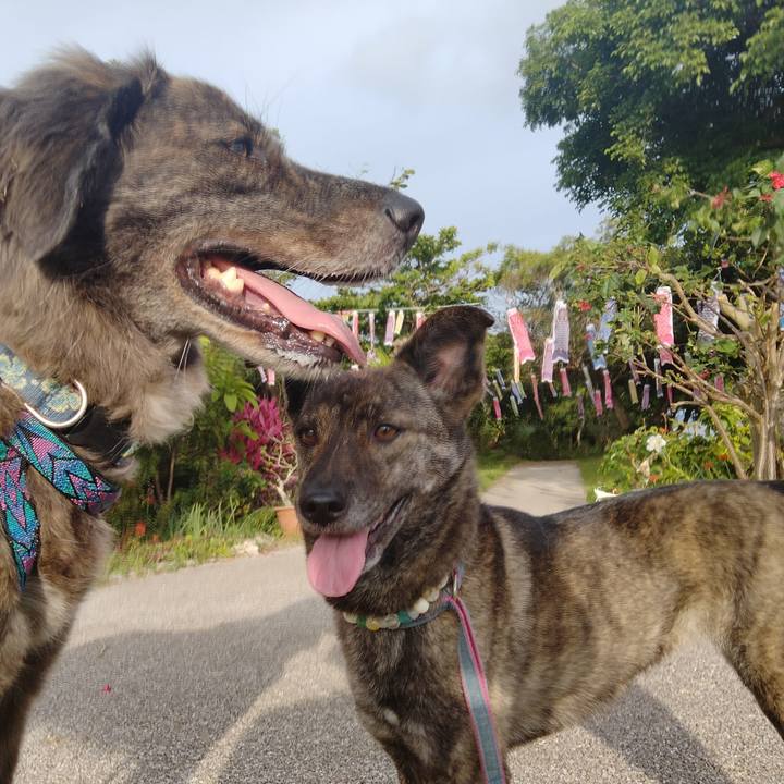 6c2e7d5d 4f99 4c7a a762 742eee71943a 1620133863852