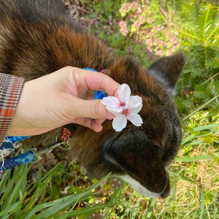 6c2eb96c ae5e 4cc7 94c7 38bb0c720b84 1713166037417