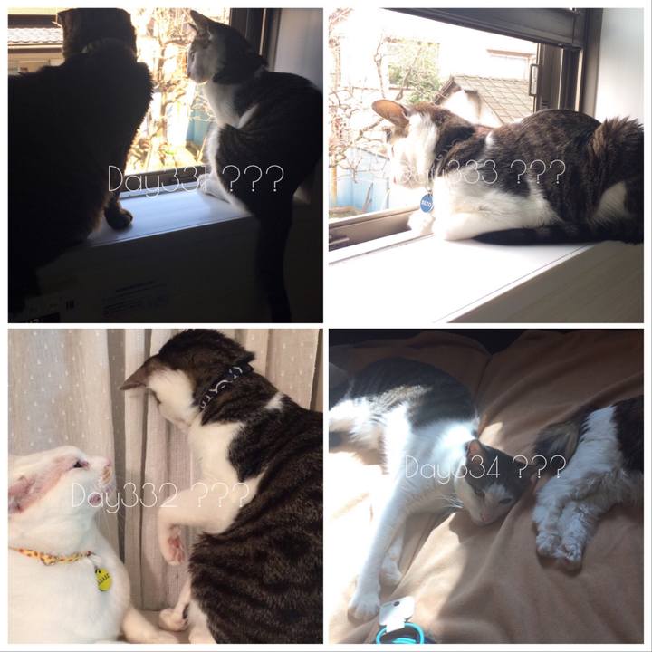 6c2efd1a 0f66 4c01 b450 1b5311951e93 1523795792385