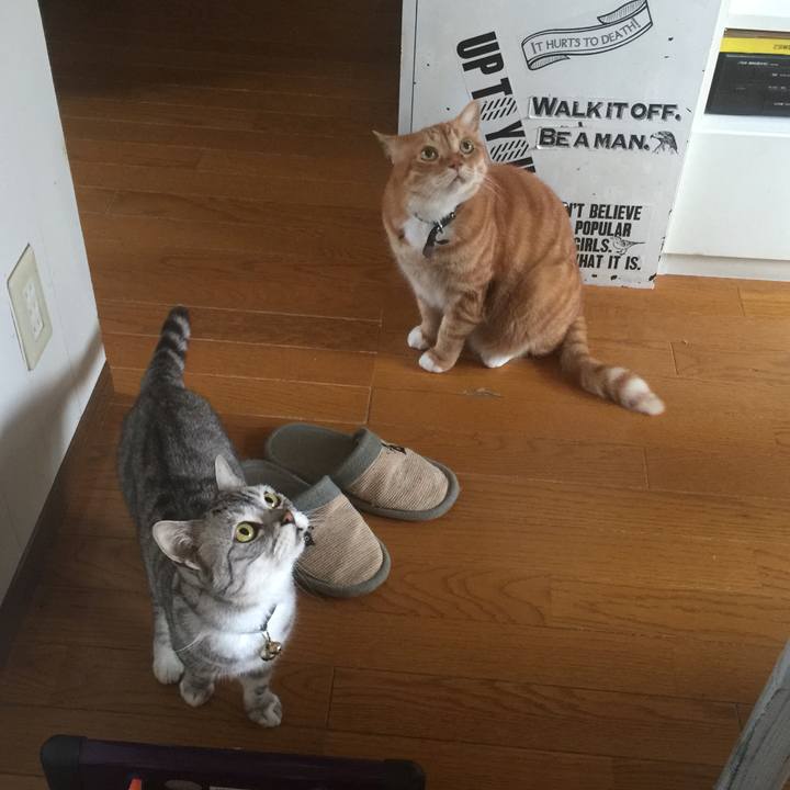 6c2f04c1 0abd 4807 b039 0d23b931d617 1561801966628