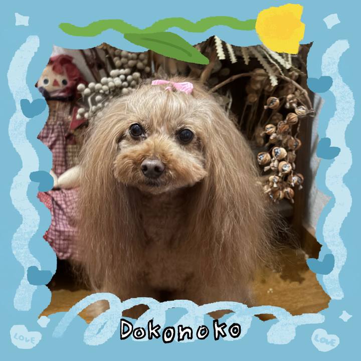 6c2f089a a2ed 4315 af1f bb6580eb649a 1772081726040