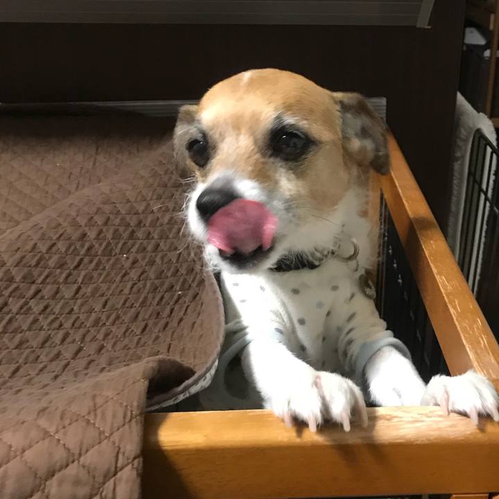 6c2f09fa 9d64 4d20 978a d8fd1379278f 1519084421262