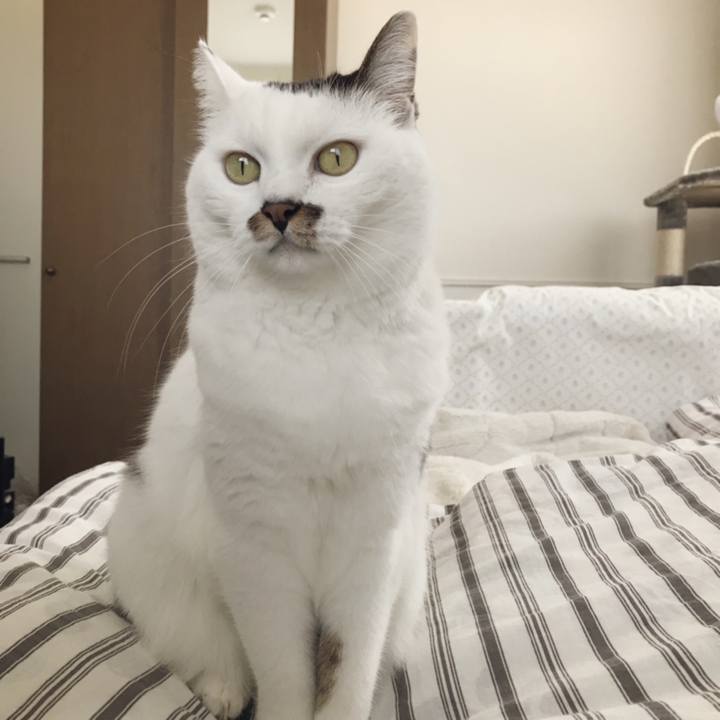 6c2f1ac3 78d3 479f b246 aa3d70601ba7 1540356167576