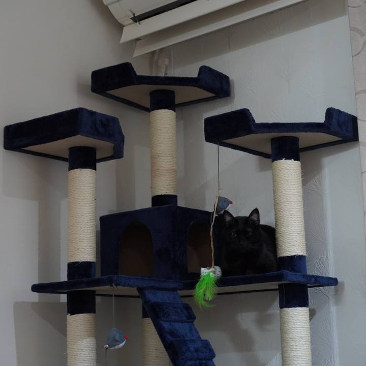 6c2f5be8 ec68 41b3 9edd d0b6a3dcbb61 1580560628248