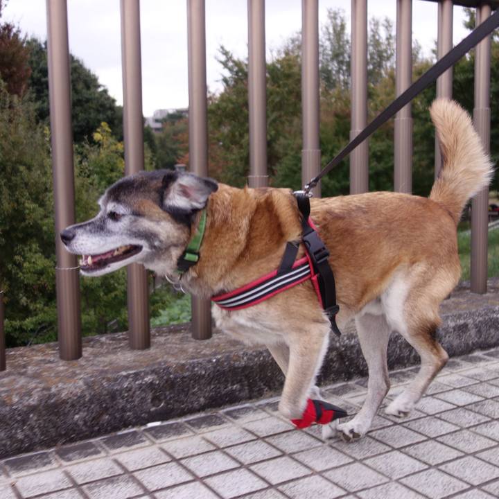 6c2f6b0c 9c41 4144 989e f4fe6e892e9f 1651196367777