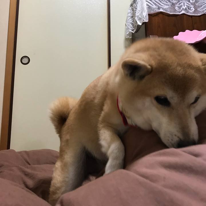 6c2f6c32 b3ab 44bc a3c4 c1319b205f40 1541051664153