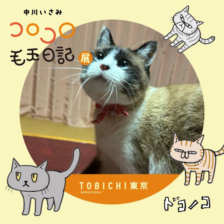 6c2f85dd acf2 4f17 ac72 554ff042a56e 1740167240118