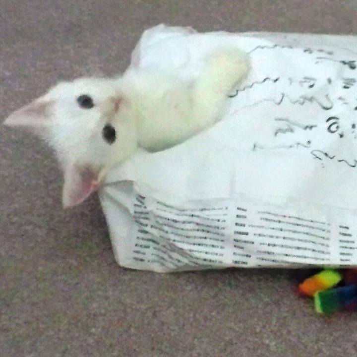 6c2f8c71 5200 4920 888e 79e3798ae86d 1510187539737