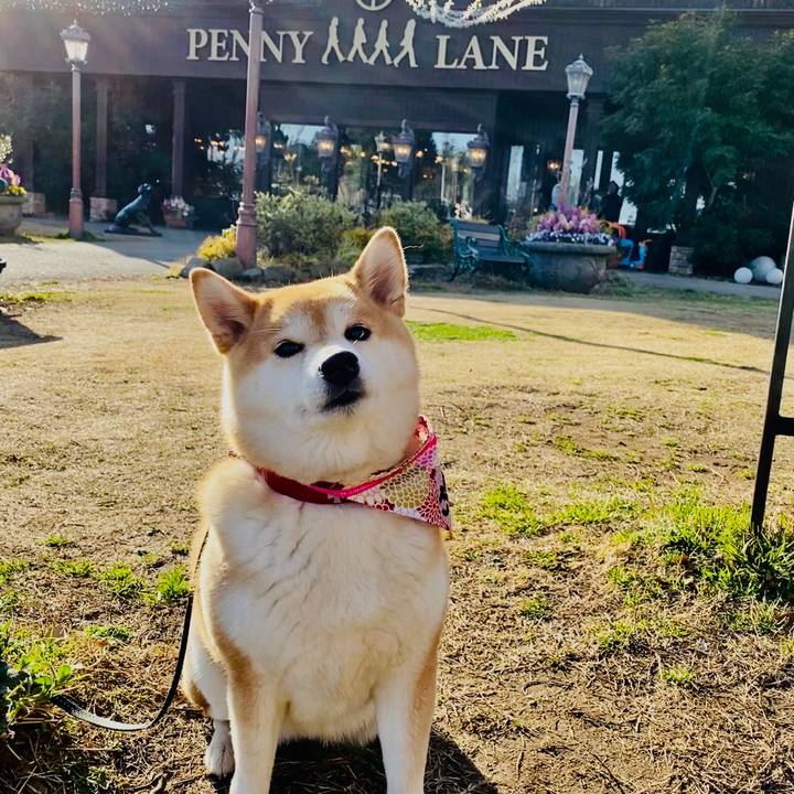 6c2f8dcf 930e 483f bb18 402b238131f5 1582447069627