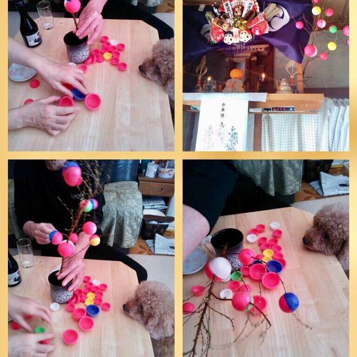 6c2f9d73 9637 4d6b 9e15 a83d57e4e48d 1546238038311