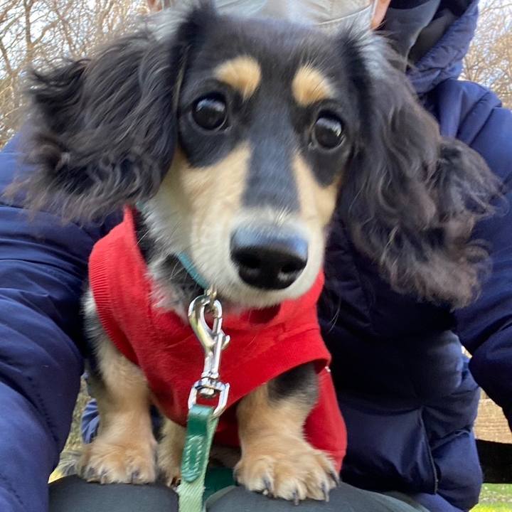 6c304453 b95c 47bd a5e6 288120a54b6a 1673258238278