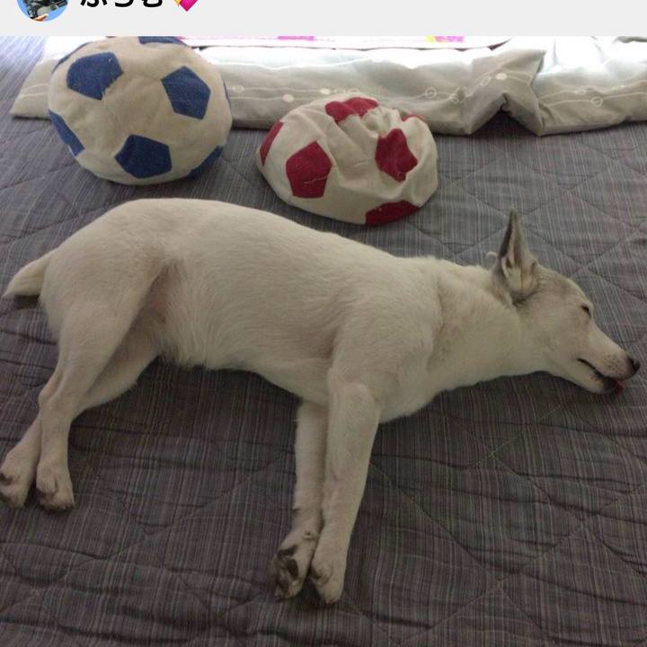 6c3090f4 32dc 44cb a752 1dda9d781076 1775258728234