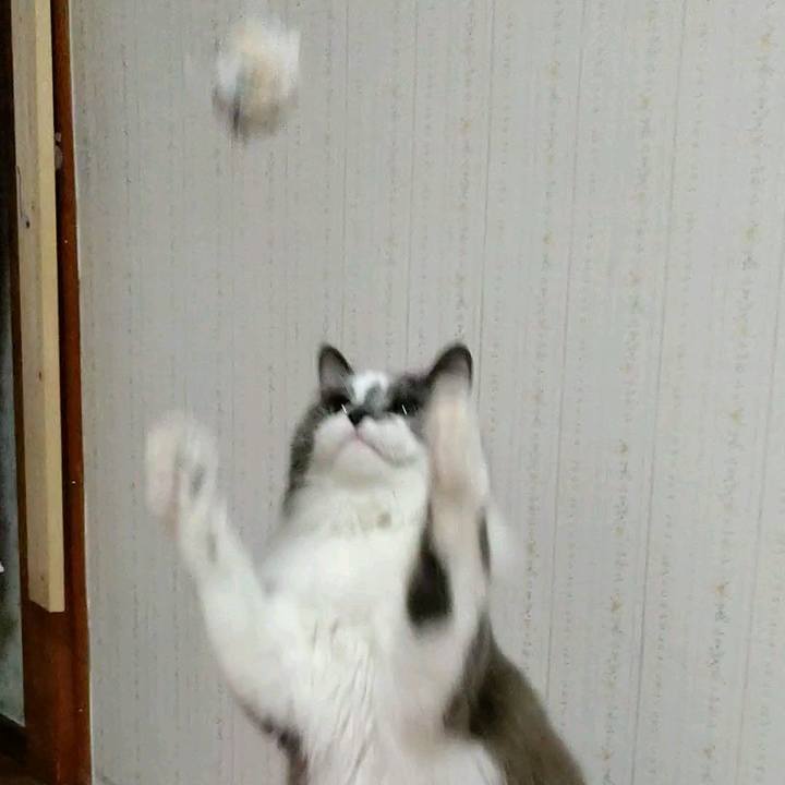 6c30ce07 a801 4600 a85b f738cab48a12 1583838077567