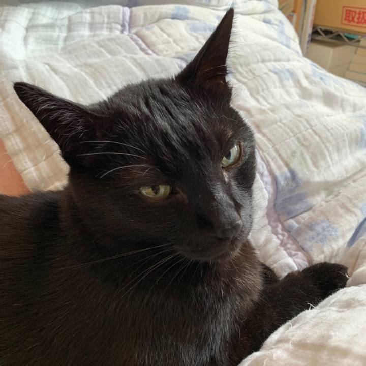 6c30f18a 59be 4bee 9182 ed3f32694aa3 1558228694402