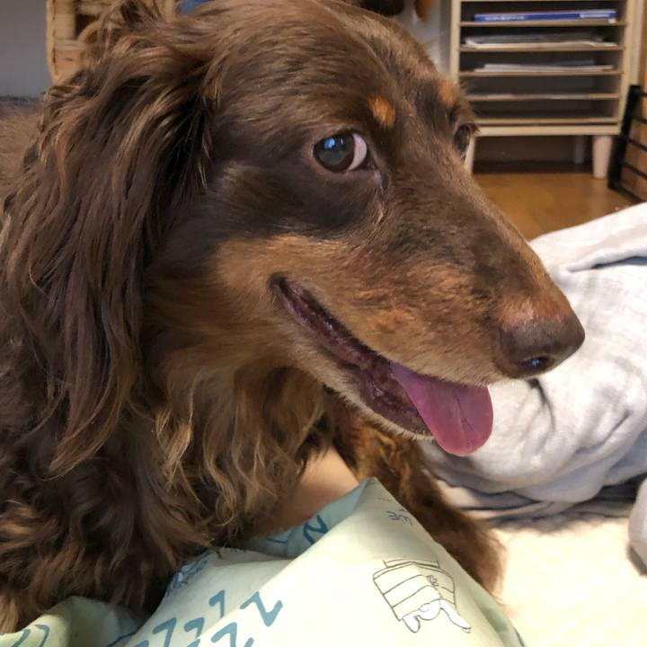 6c31013c bfc2 4cb7 b8dd d45bda6f8e7d 1685689168129