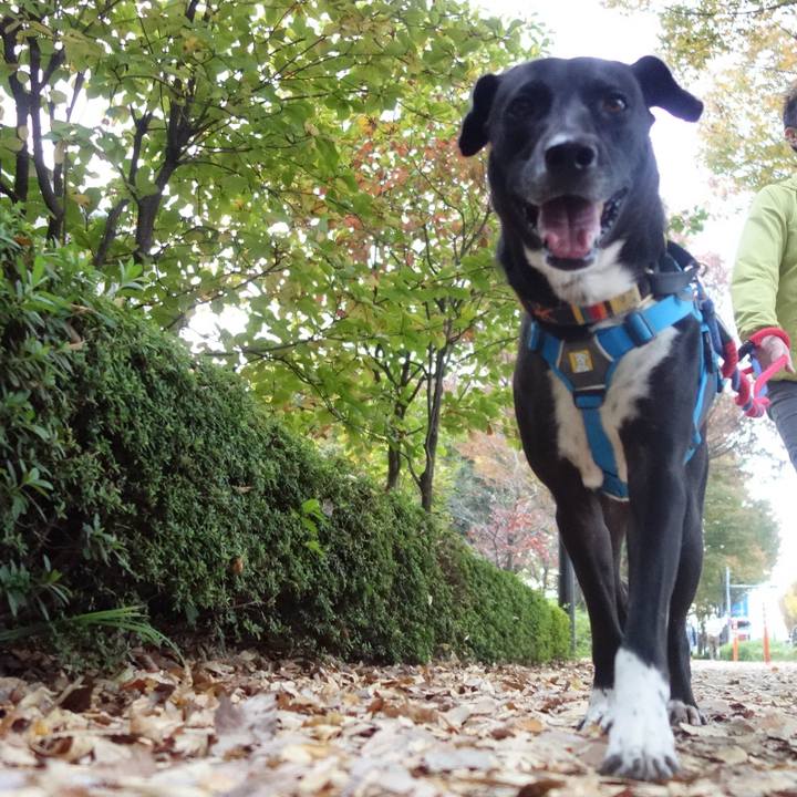 6c3112b2 c6fe 4405 a910 4c0bd25bd8ff 1605225859269