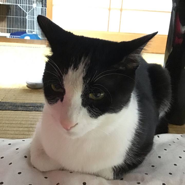 6c311b00 b88b 45cf b636 3e8bc16d343f 1688906353881