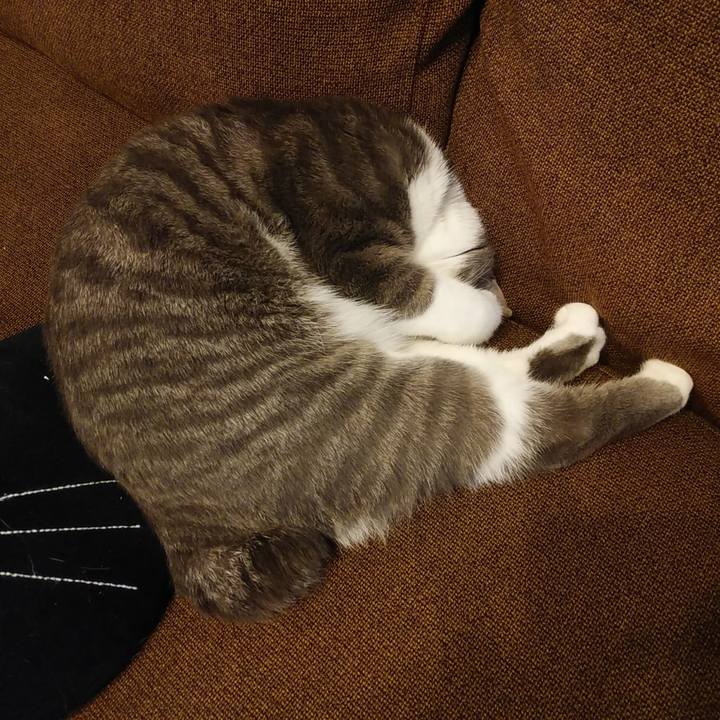 6c3130f6 407c 4b95 bafa 85acc7ffa7d3 1583813946037