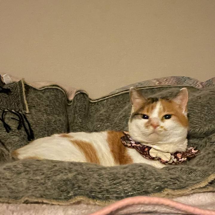 6c315167 79c9 436d 87ad ebae1e3e9629 1739261827449