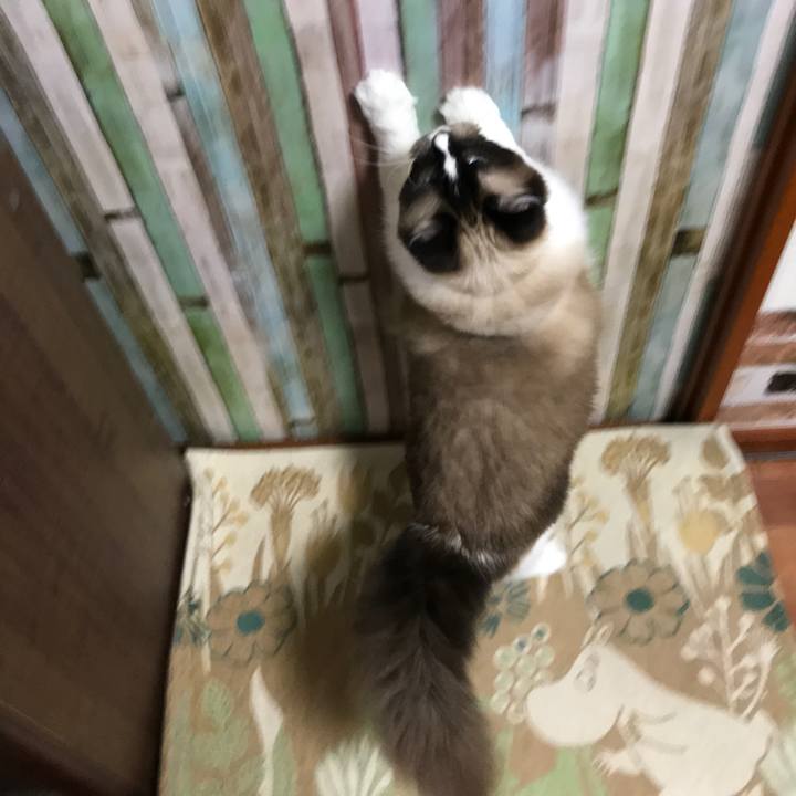 6c31901d b2ea 453f b988 2ac279d3b913 1530279310684