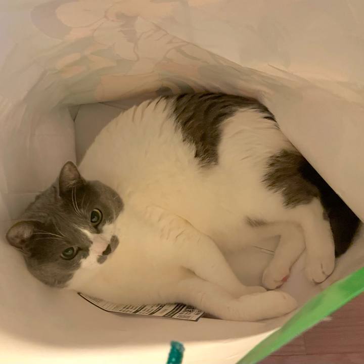 6c31a26e ba2e 4f9d ac99 e05284a60aef 1657847383585