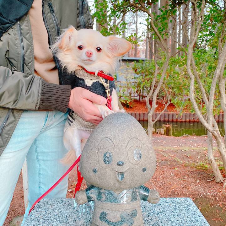 6c31c358 1a13 495e b32c 4b0dbee725b9 1639310508197