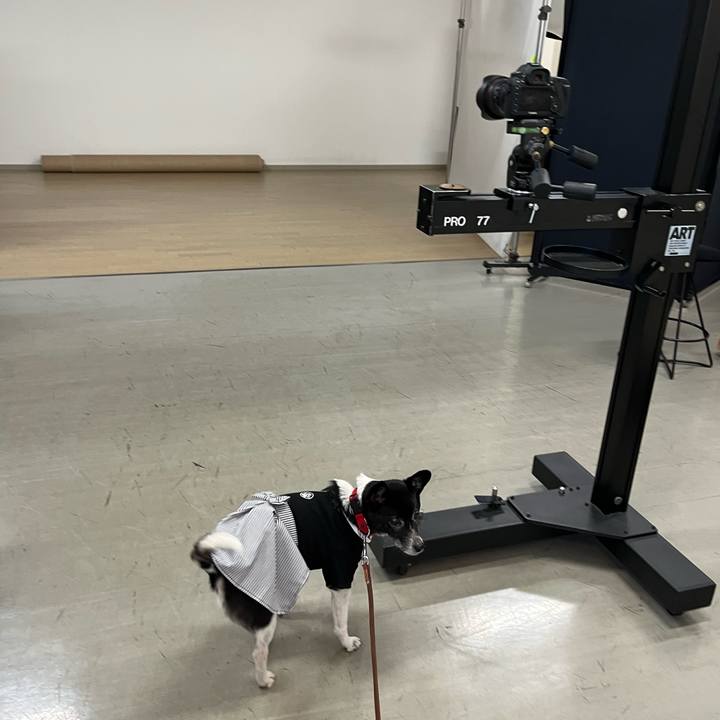 6c31cd44 8b14 4458 bdf6 846ec86ac27c 1742627476517