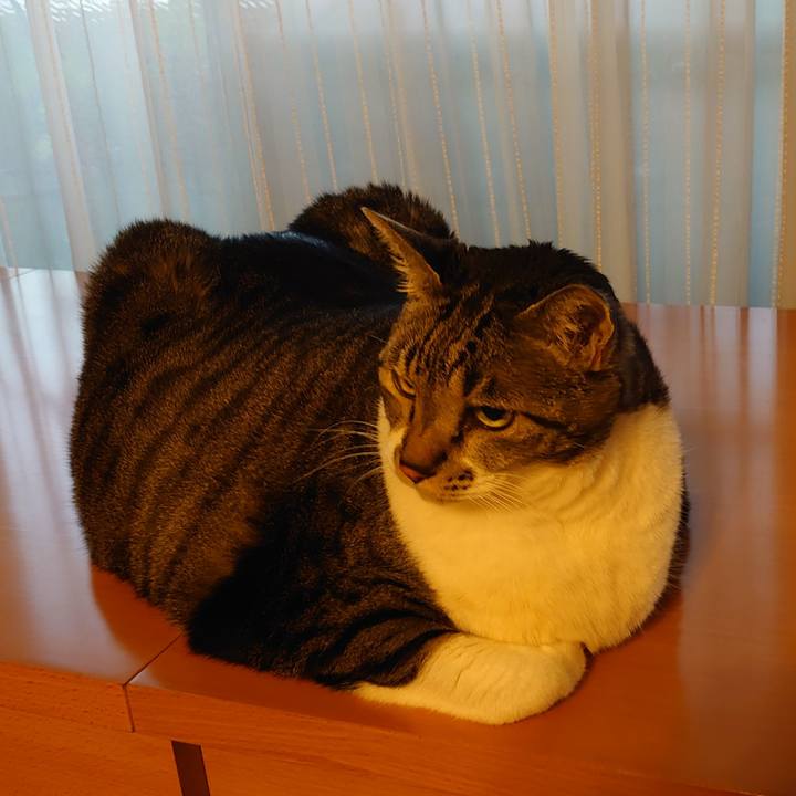 6c31e800 75eb 4e55 9a75 c59da3e41ea0 1667462368518