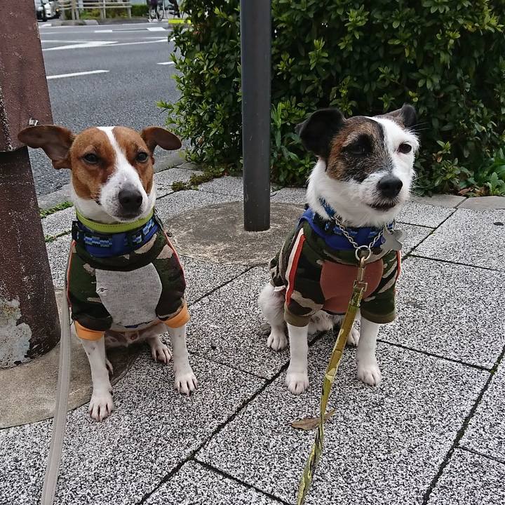 6c31eb24 45d0 4573 bbbe a2fba576c429 1583279538556