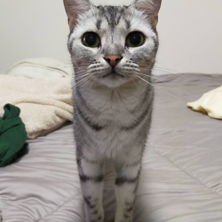 6c31f1e2 ce2d 47d1 b11d 2a419253f480 1599831932877