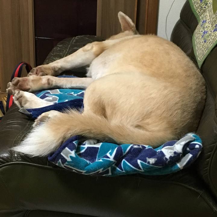 6c321c1f e1e7 40b2 bf3c f664161fb45a 1540032557526