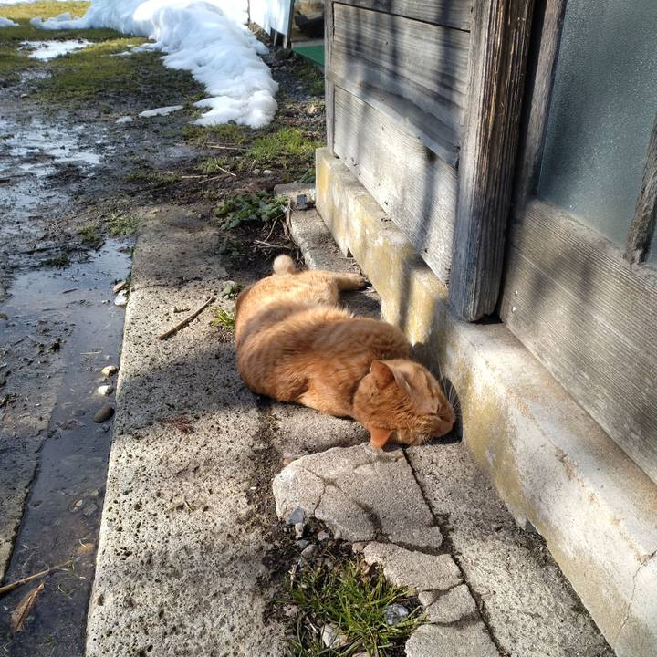 6c323db0 c6db 4c1d bc30 a0c12a98e322 1674182355267