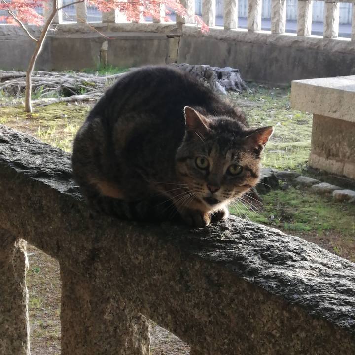 6c3241e4 836f 4136 a7c4 0a6d8d177f87 1619470728837