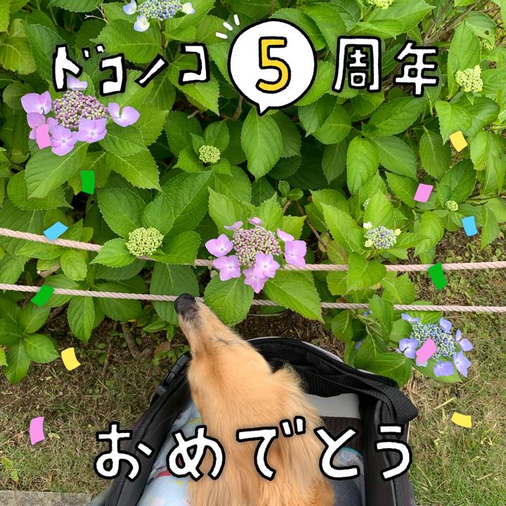 6c325ac7 06d0 4ee5 ba2b db5ac8a53cc2 1622897341269