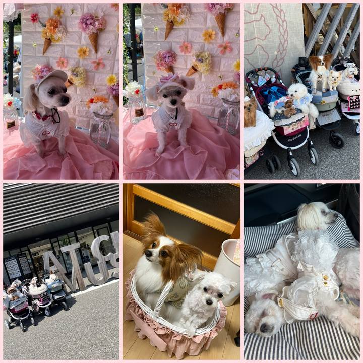 6c3278f1 5653 4c9d 973c 2f1b99e982fb 1715438687655