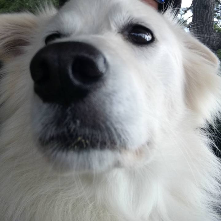 6c32b3e2 db41 49cf 820b c7818c49f665 1508892844004