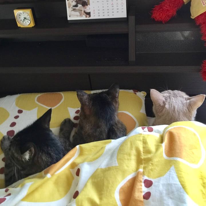 6c32eaec fb21 4789 a05c 6534ced3771a 1556582024461