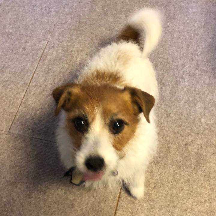 6c3304eb f250 40b7 9bed 89d0f3f0e3a8 1577609756388