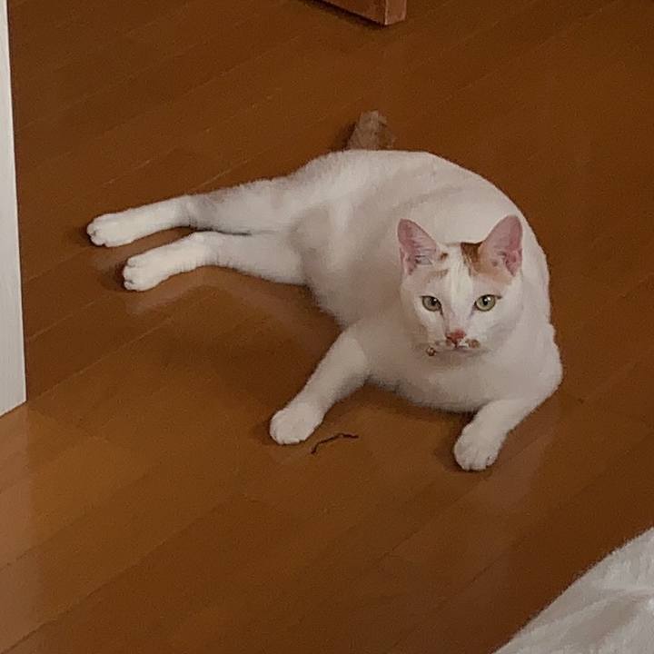 6c3312fc 2e55 4831 a646 7ddfd1a5f9d9 1555811294440