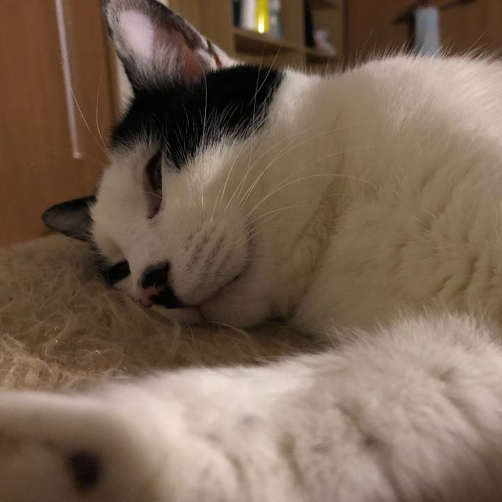 6c332502 bc4e 4d4b b259 2019aca0fa60 1549442273434