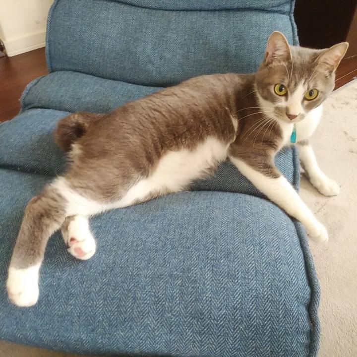 6c332bea a700 4316 a46e 36951f0793db 1591833223626