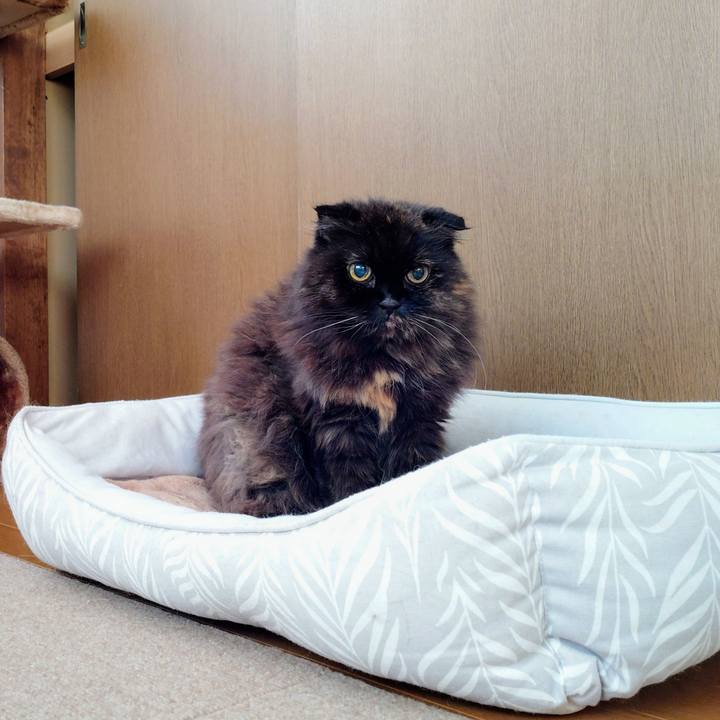 6c333fb2 9617 4e15 8356 4a0279c70381 1760743504680