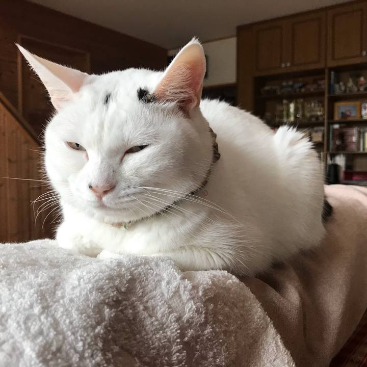 6c335ce0 d500 4e91 848f a61521c6c397 1629242185427