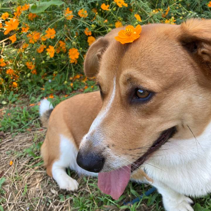 6c3366cb e11b 4ed6 b7ce 244237dcc556 1664502734089