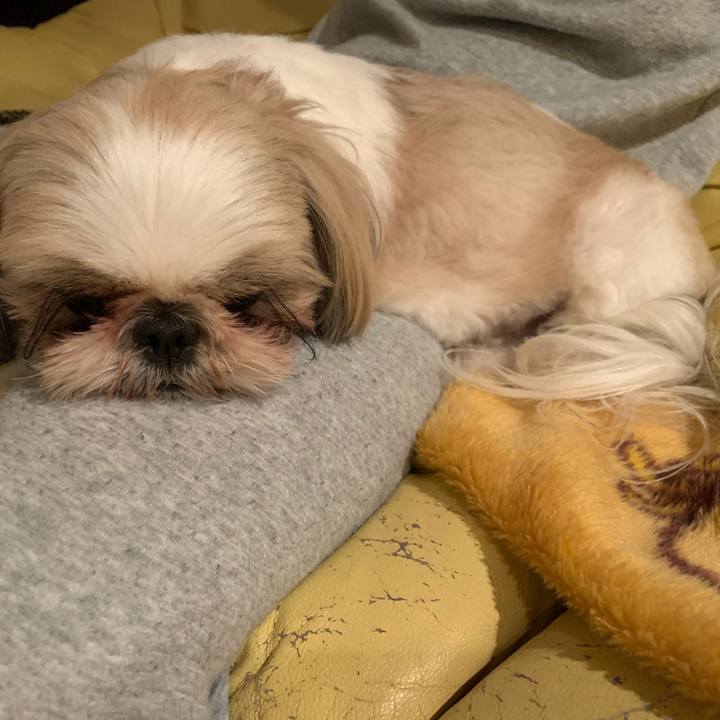 6c33a98d 0e36 41a8 88de 6610ce9ee001 1583242021132