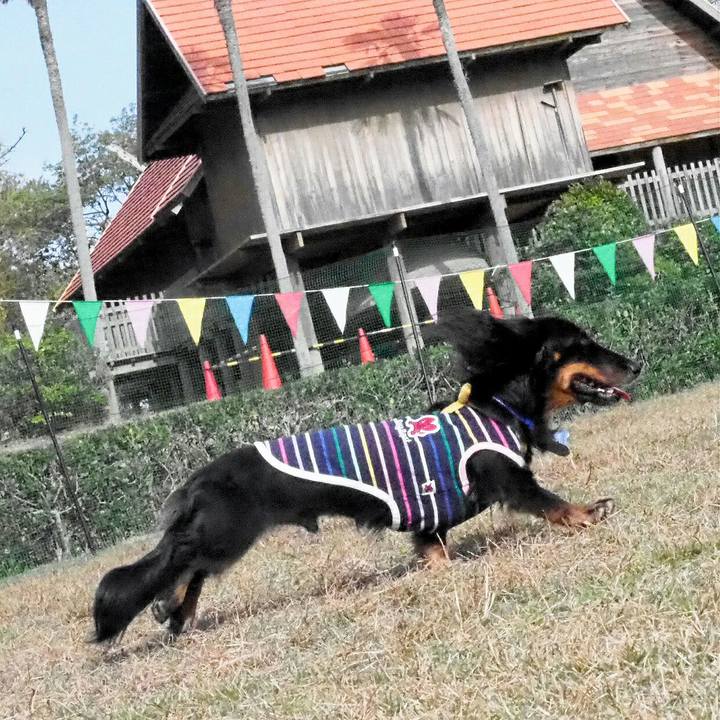 6c33ad76 b84b 4f91 93e1 32c48ef14481 1542525556305