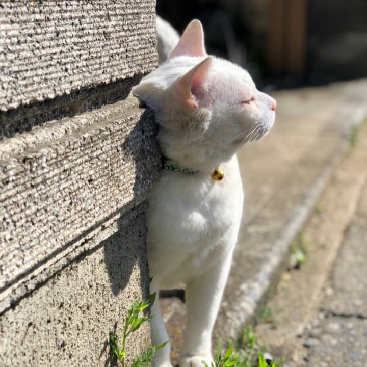 6c33c4d5 981e 45fb 96ff 5800e0f31af8 1707714675832